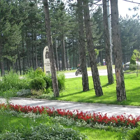 To Apartment Zlatibor